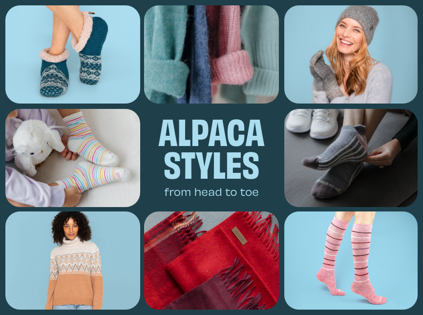 4 Pack - Women's Ruffle Socks