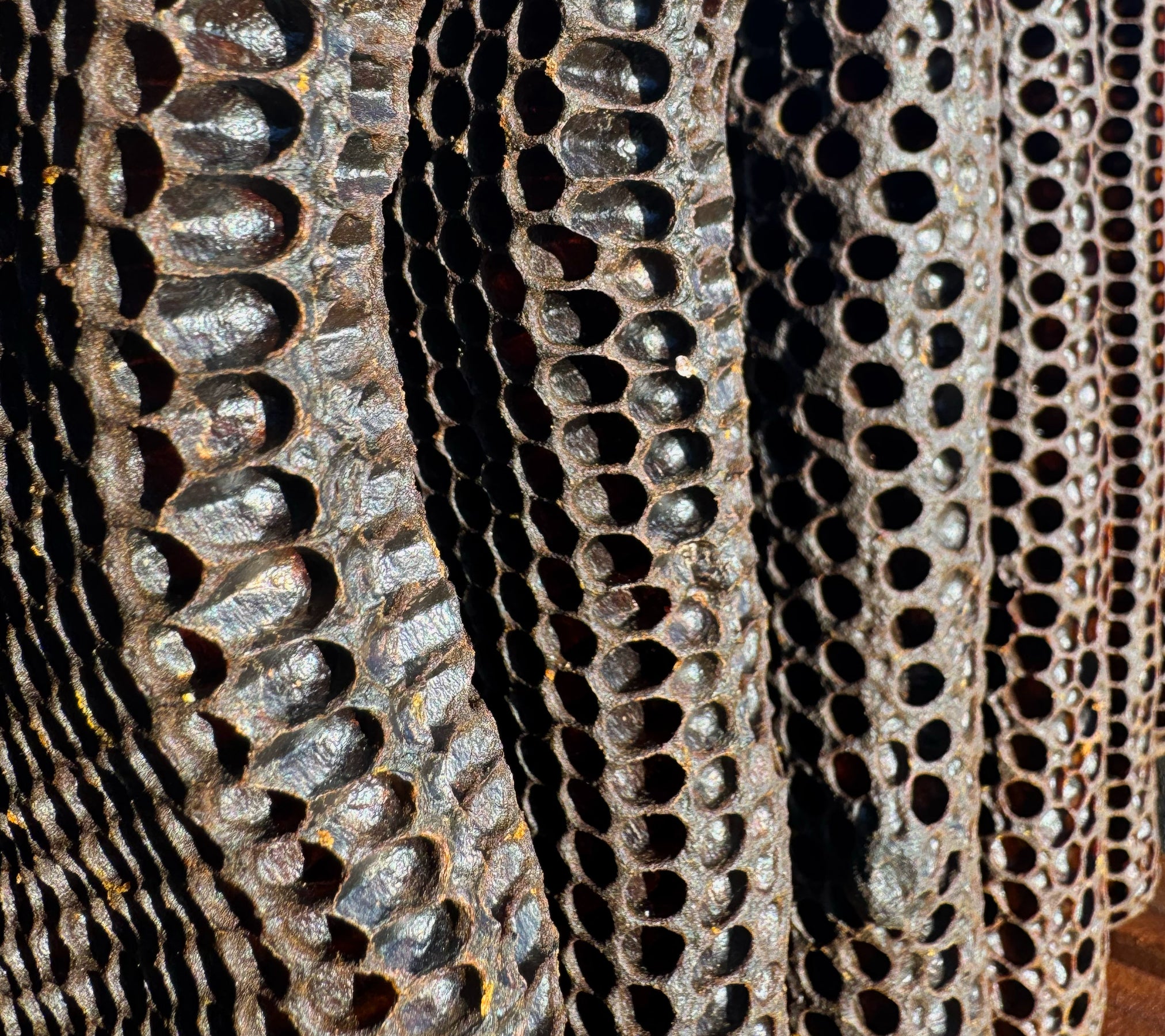 Malfroy's Gold Post Brood combs