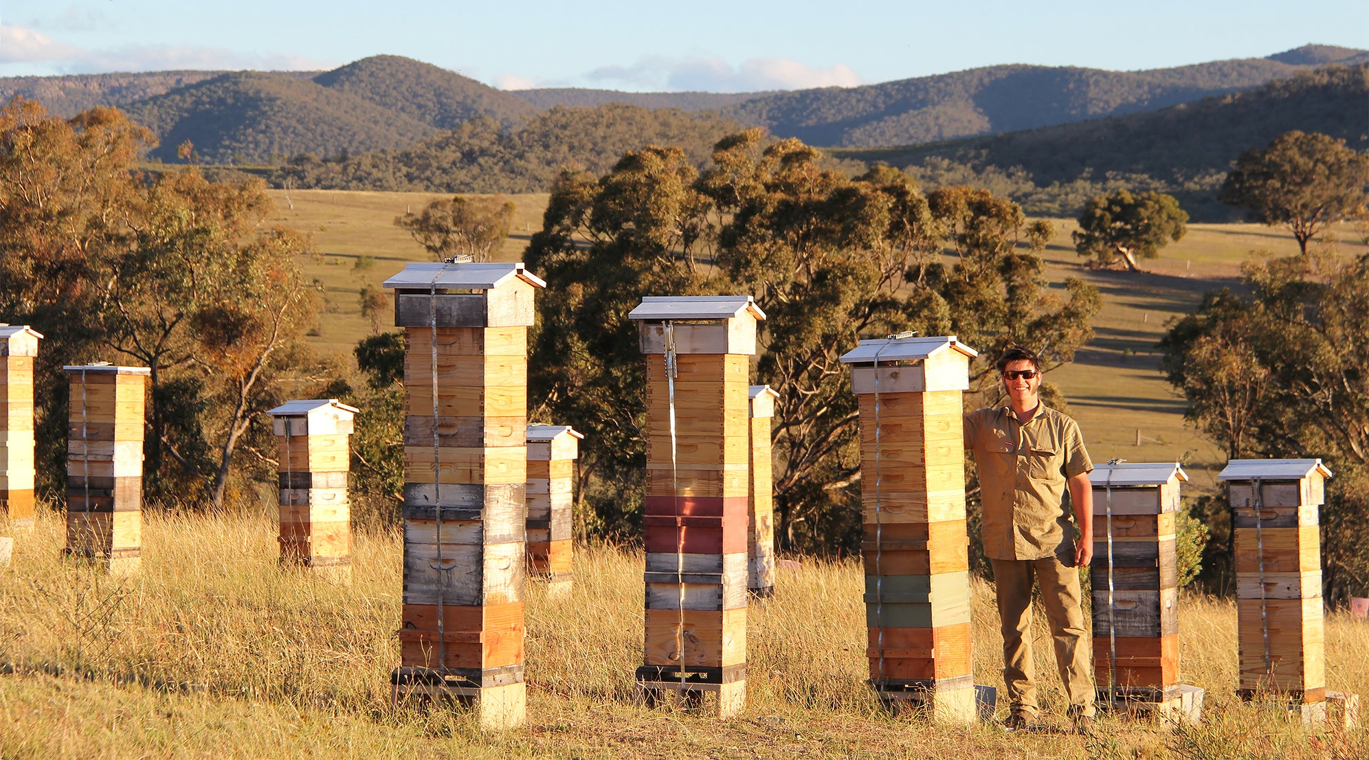 Tim Malfroy Warre Apiary Central Tablelands