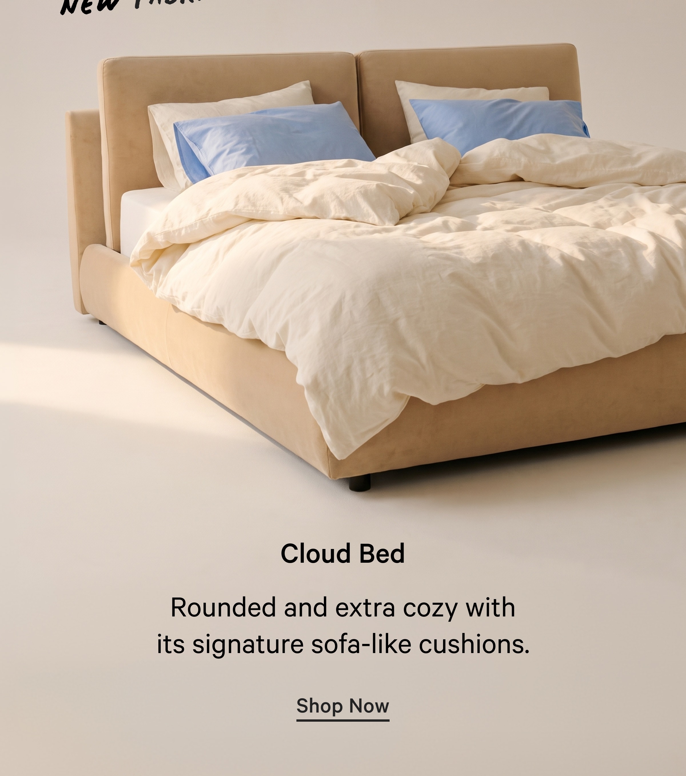 Shop Beds