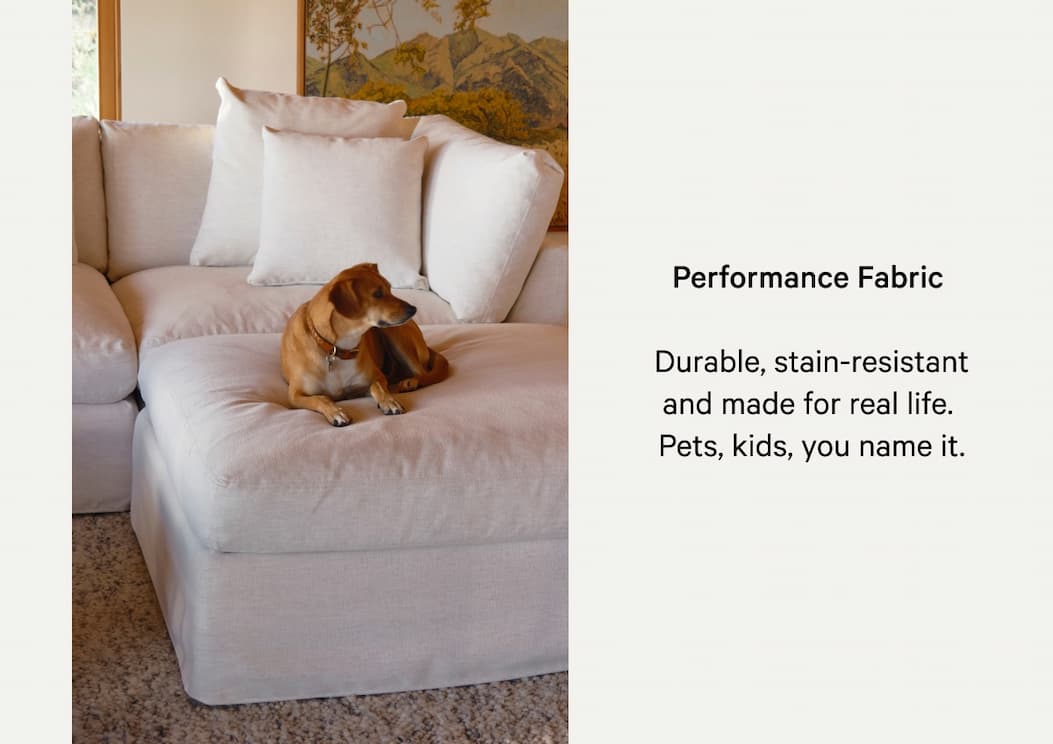 Performance Fabric