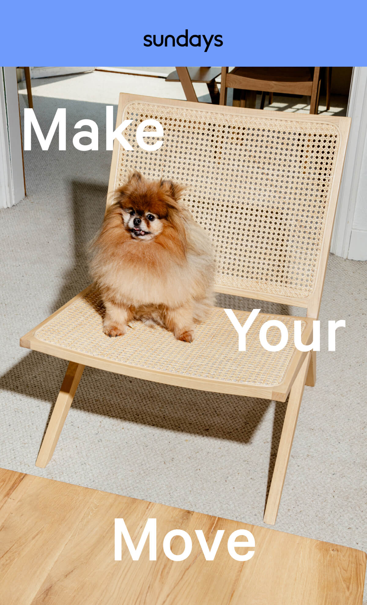 Newsletter content from sundays-company