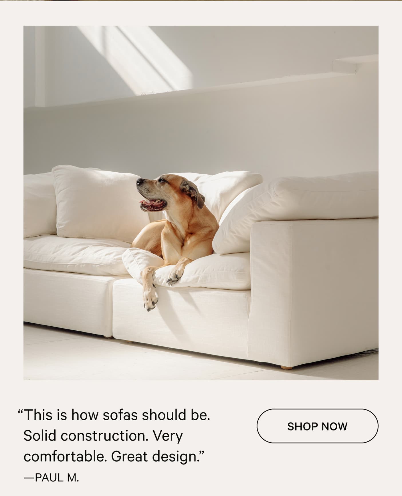 “This is how sofas should be. Solid construction. Very comfortable. Great design.” SHOP NOW —PAUL M.