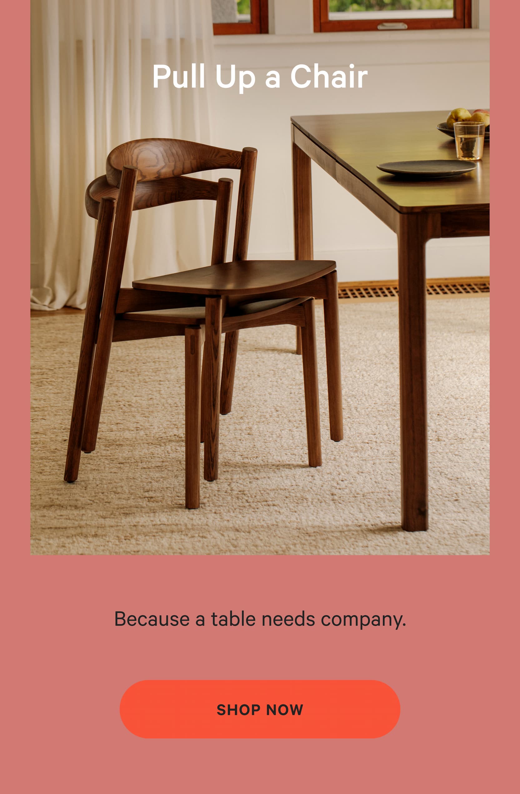Shop Haven Dining Chair