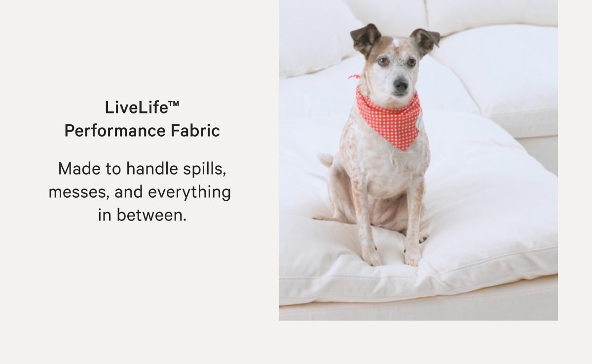 LiveLife™ Performance Fabric