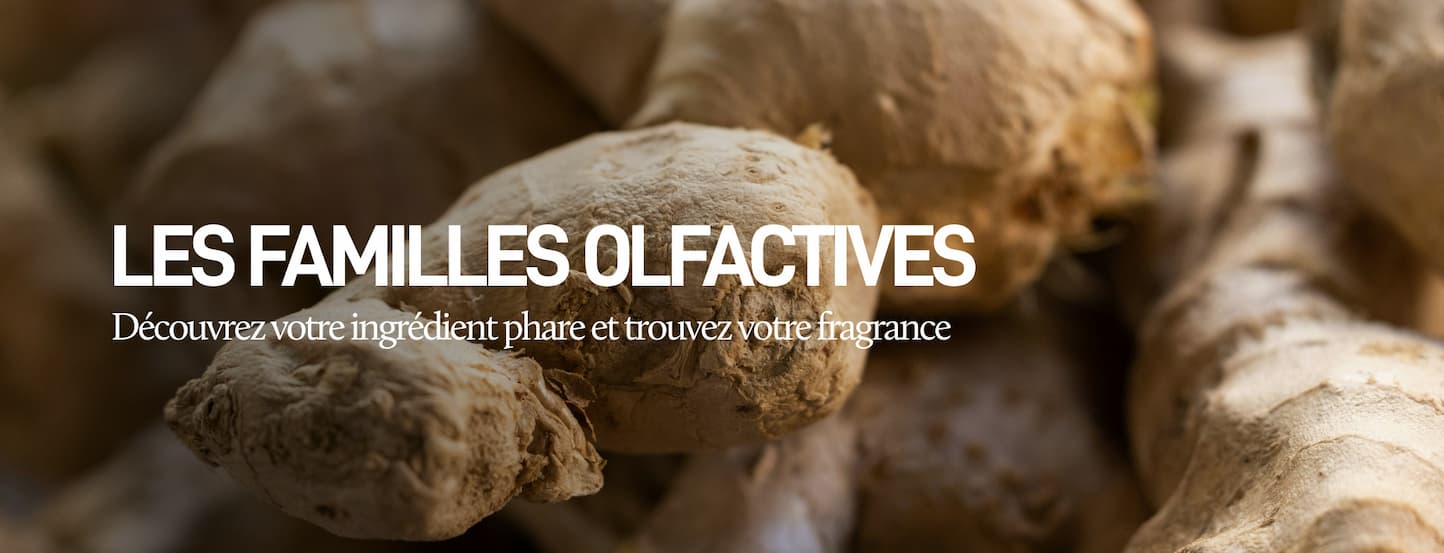 Familles olfactives