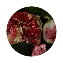 Les Fruités