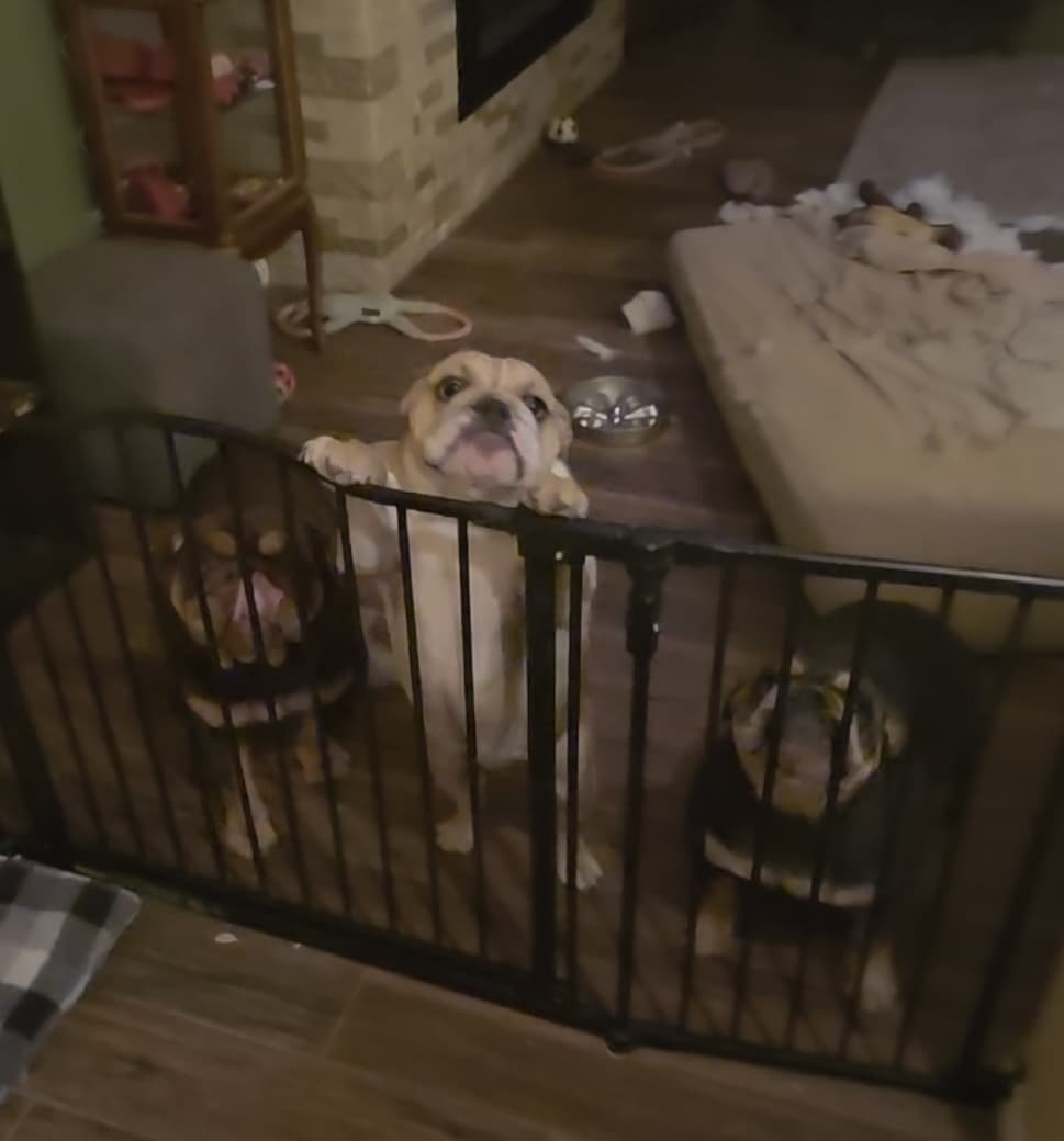 The lineup at the gate