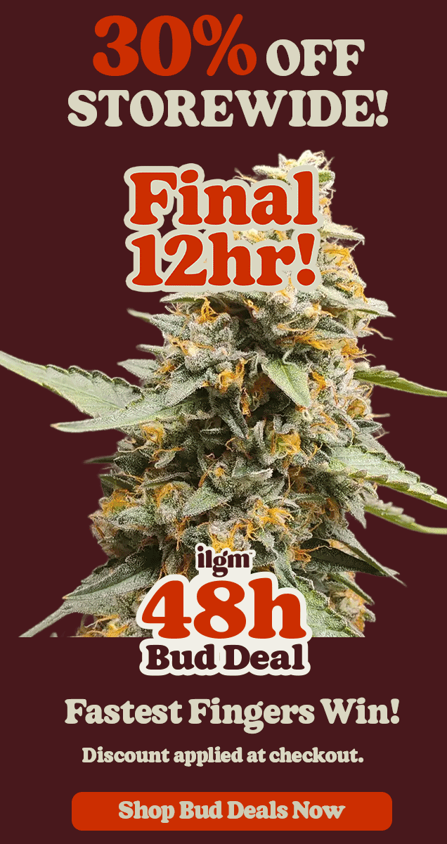 48h Bud Deal 30% off storewide discount applied at checkout