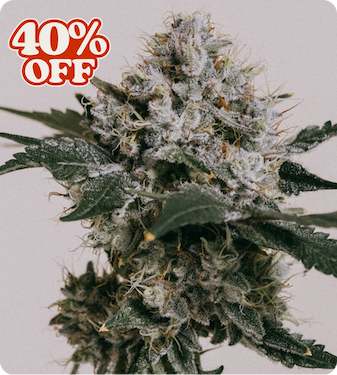Skywalker og 40% off product image