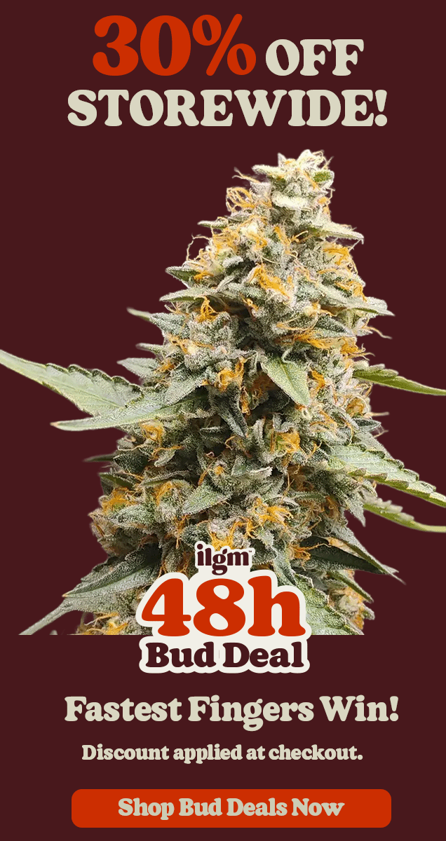 48h Bud Deal 30% off storewide discount applied at checkout