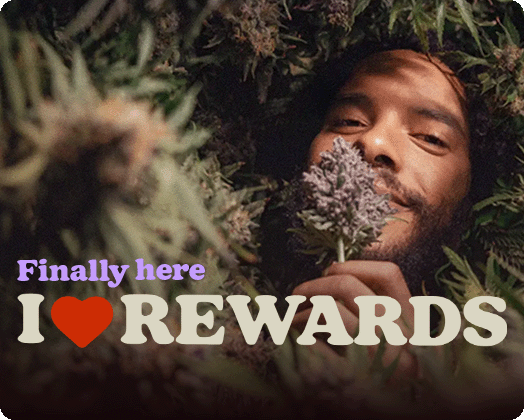 I love rewards is finally here