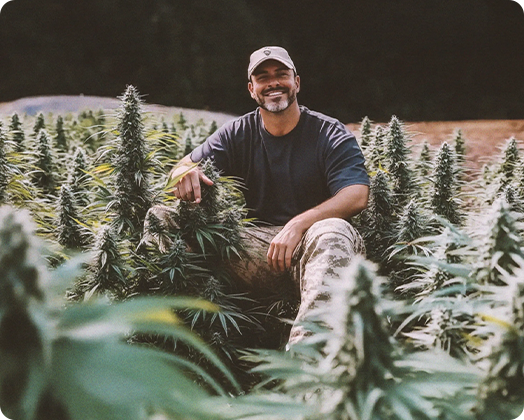 from service to solace blogpost