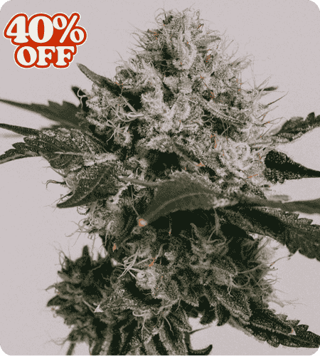 strawberry cough product image
