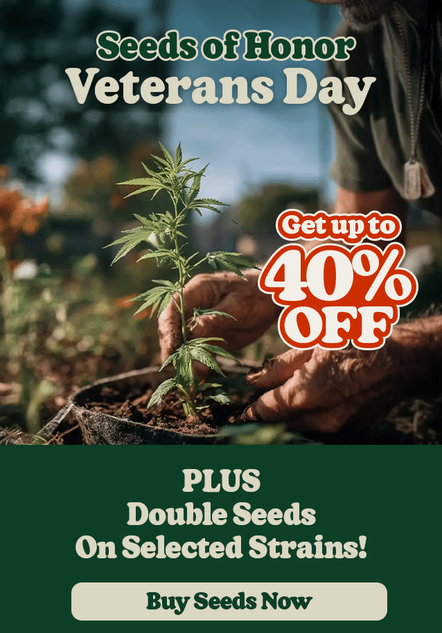 Veterans Day sale get up to 40% off plus double seeds on selected strains.
