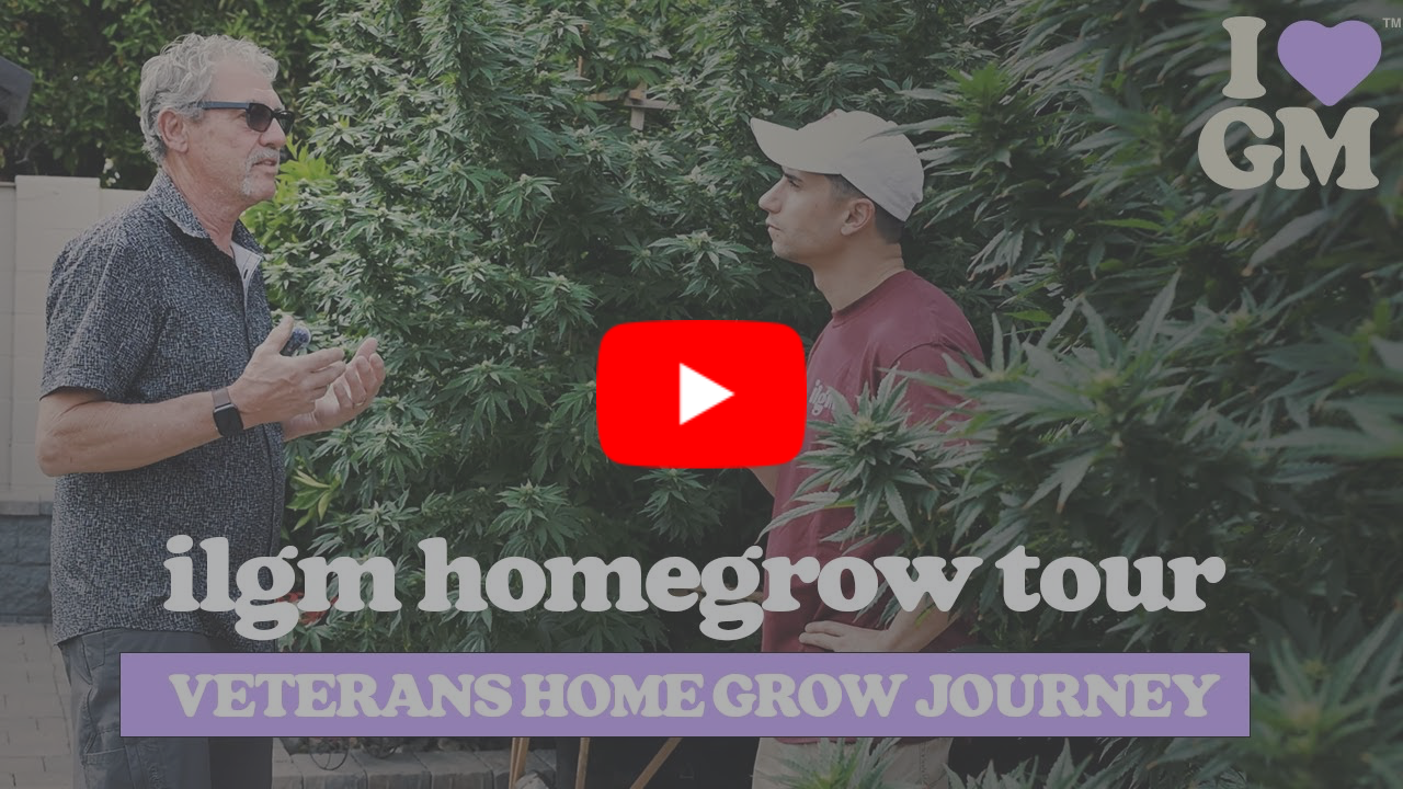 veterans stories from ilgm