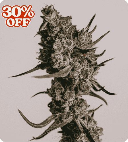 granddaddy purple product image