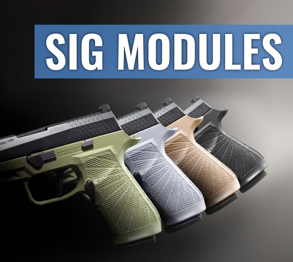SIG MODULES