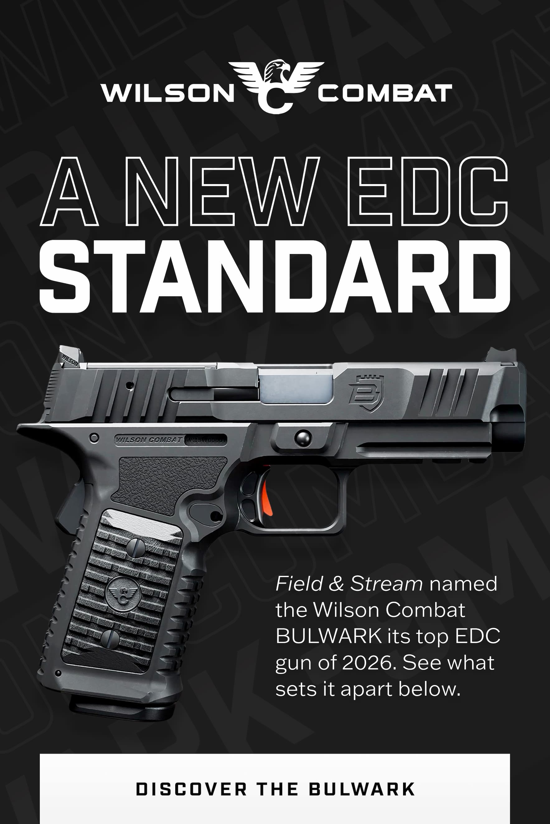BULWARK | All-New 9mm Pistol