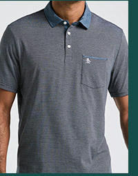 Shop the Chambray Stripe Polo