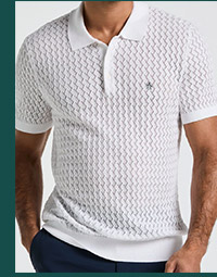 Shop the Drop Needle Textured Sweater Polo