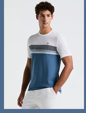 Shop the Birdseye Pique Chest Striped Tee