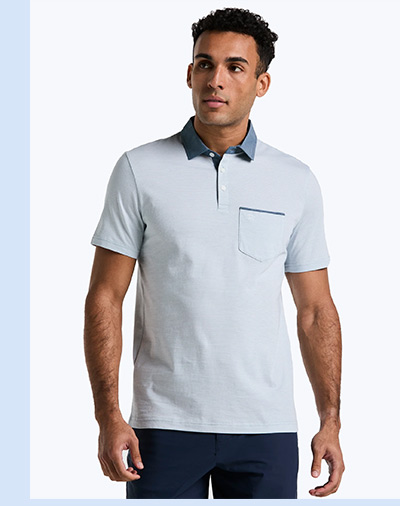 Shop the Chambray Stripe Polo