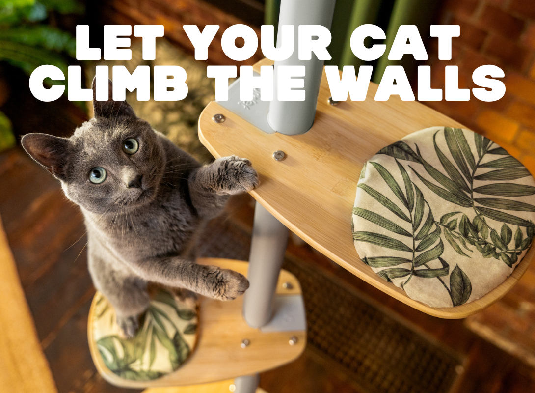 Image: https://d3k81ch9hvuctc.cloudfront.net/company/RHtwze/images/26dc0d55-8bcf-4f75-8b89-adfc74967694.png win