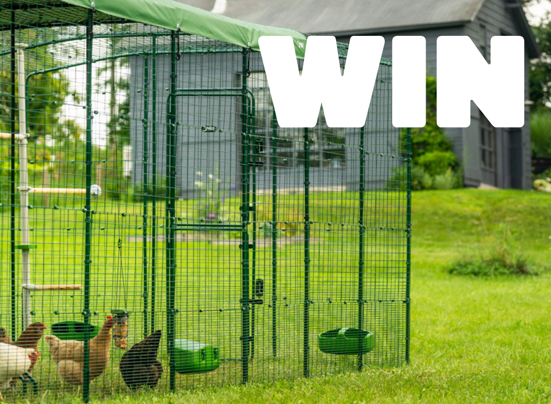 win