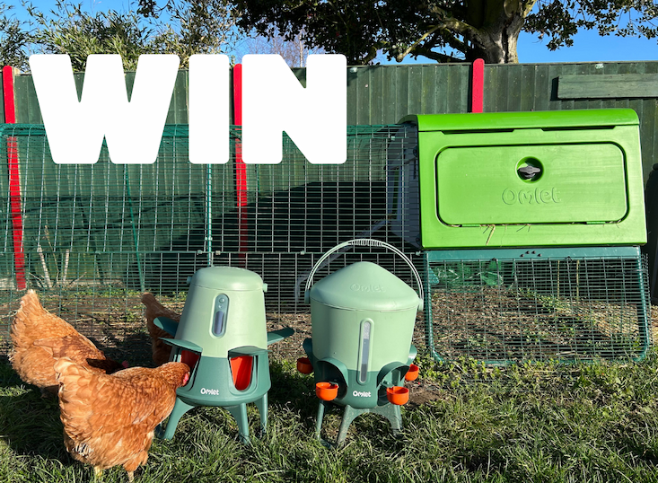 Eglu Pro set up of dreams prize draw