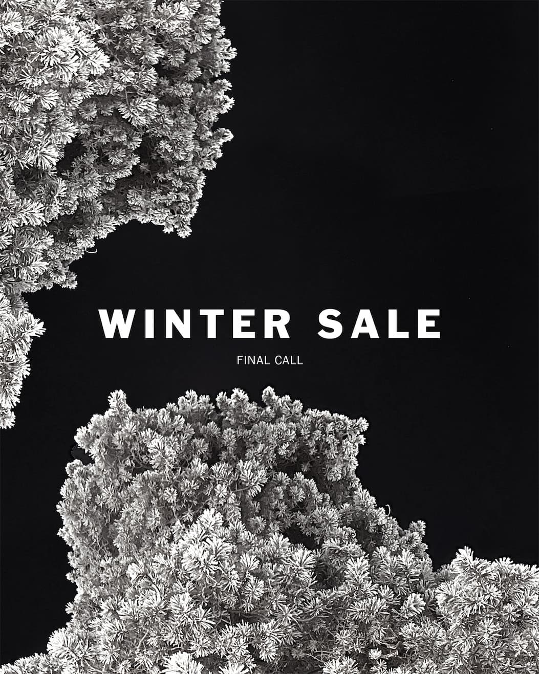 Elevated essentials - Winter Sale 2026 Final Call