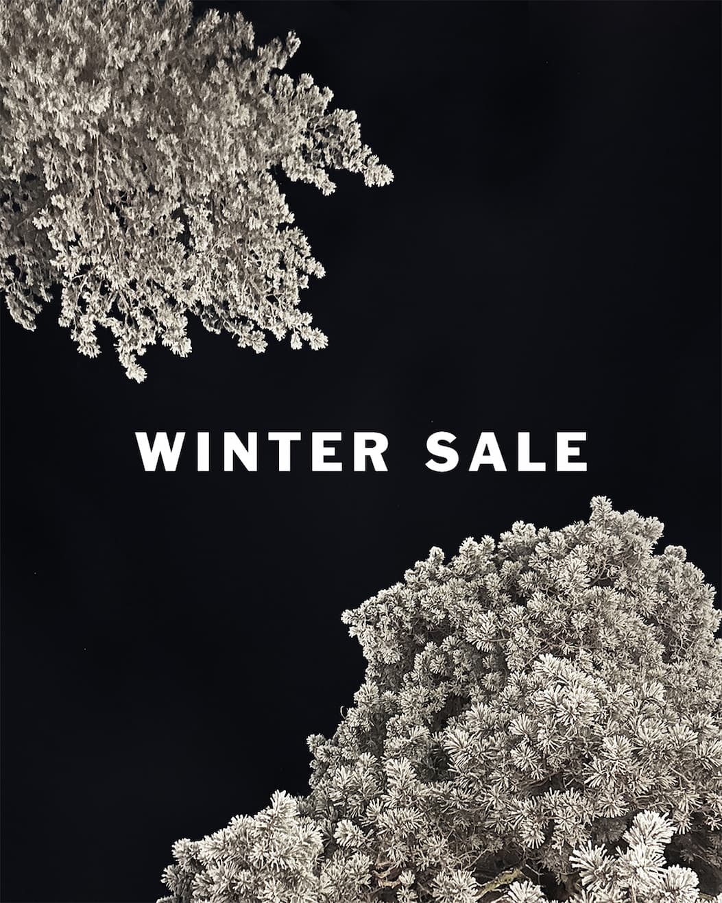 Elevated essentials - Winter Sale 2026