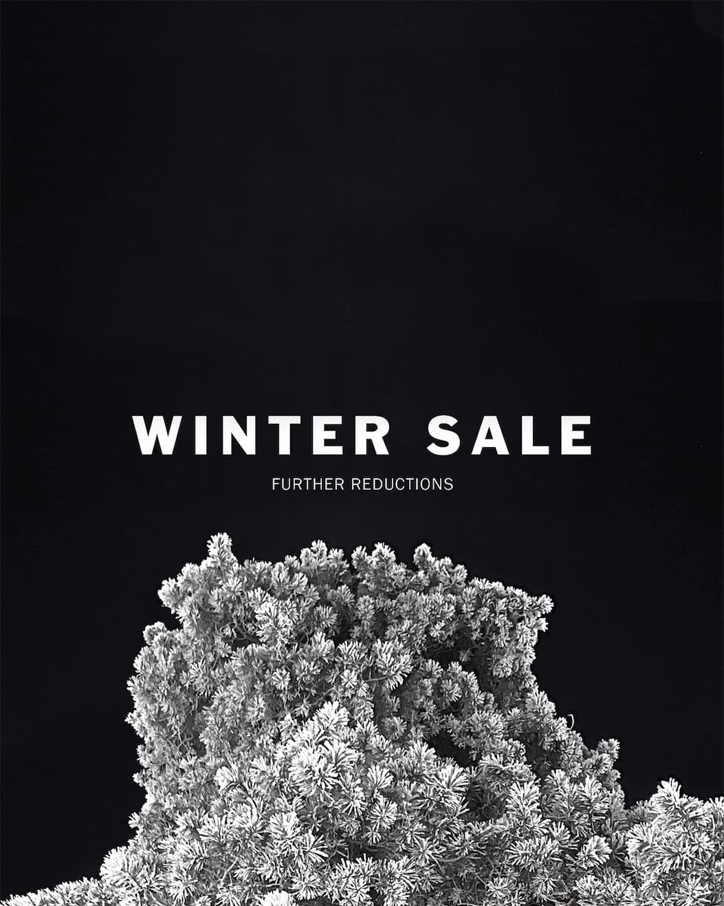 Elevated essentials - Winter Sale 2026 Further Reduction