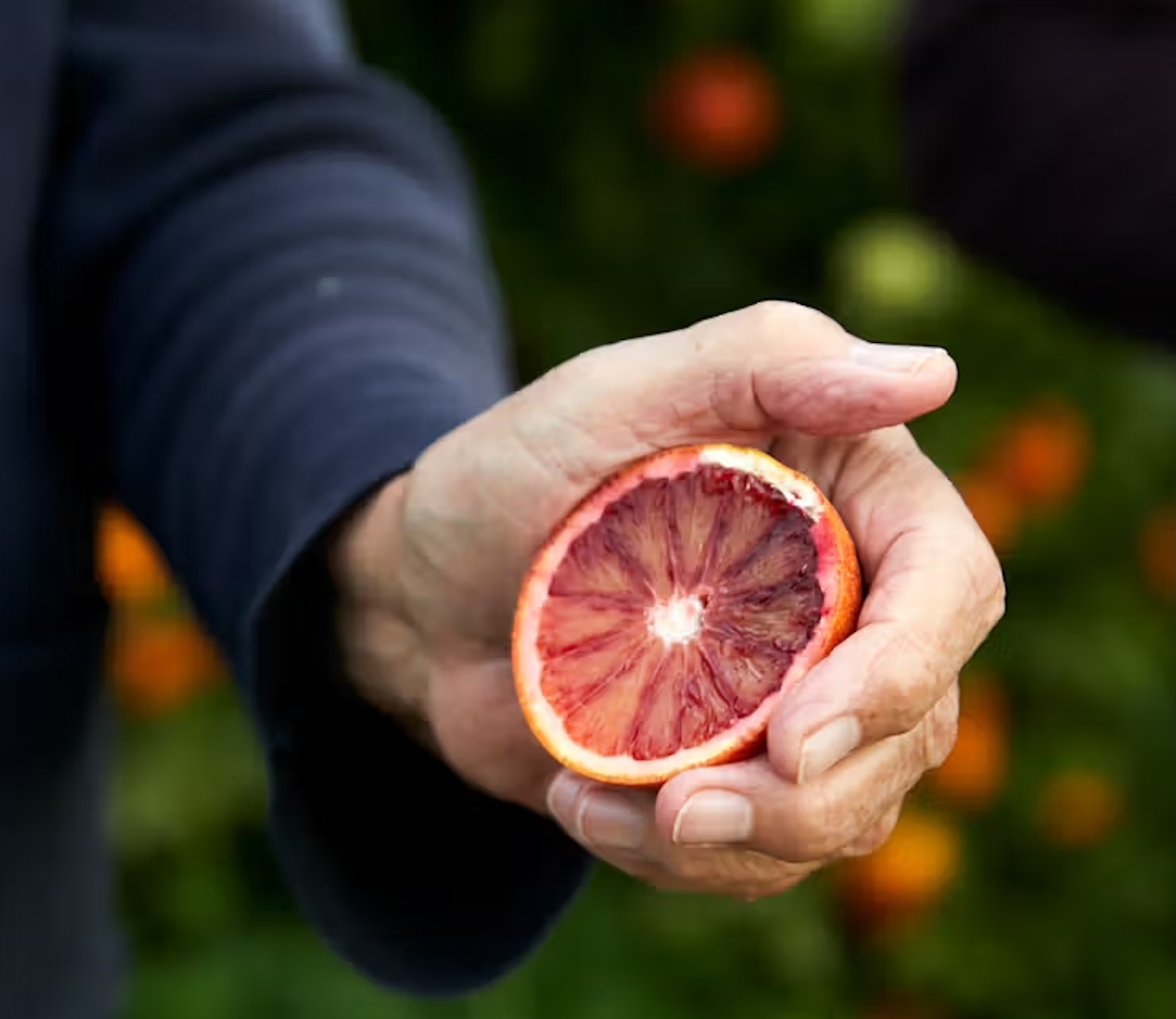 A Carmelo blood orange grown in Sicily by Natoora
