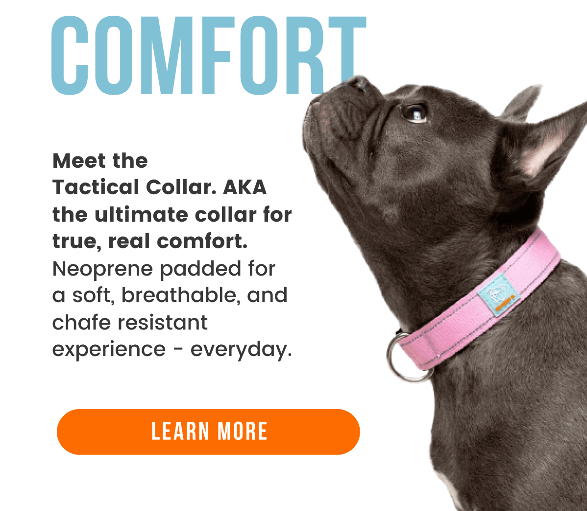 A guide on the Tactical Collar Dog Friendly Co