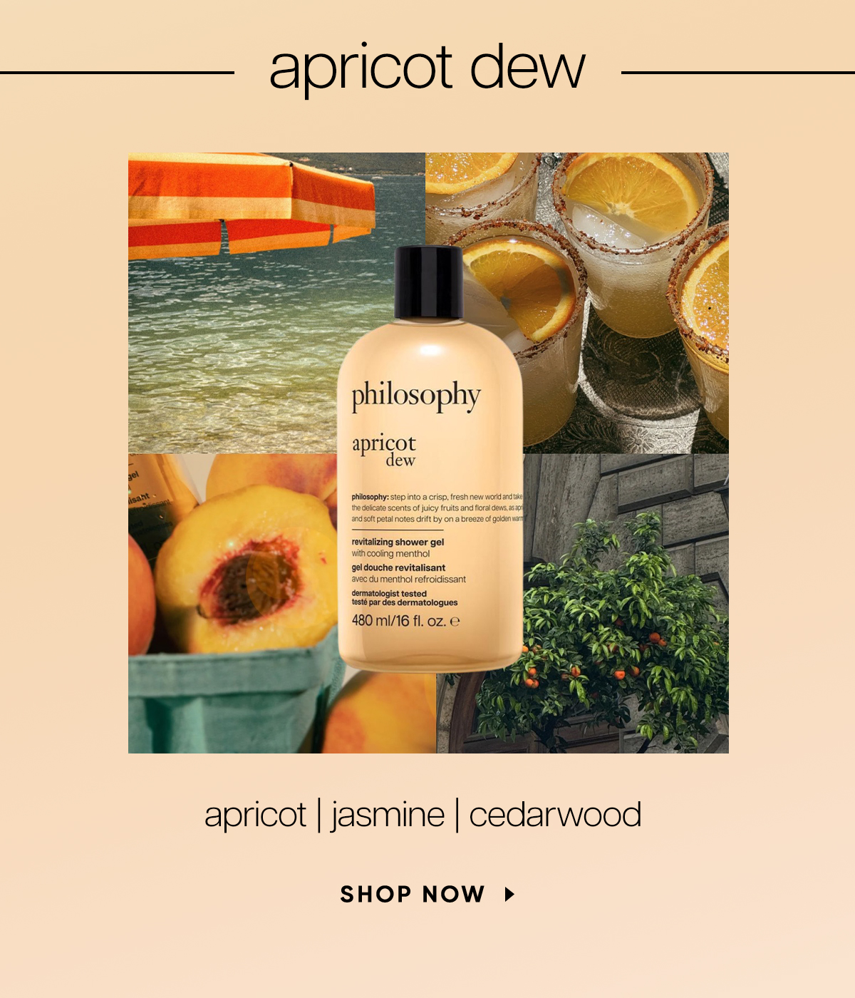 shower gel 