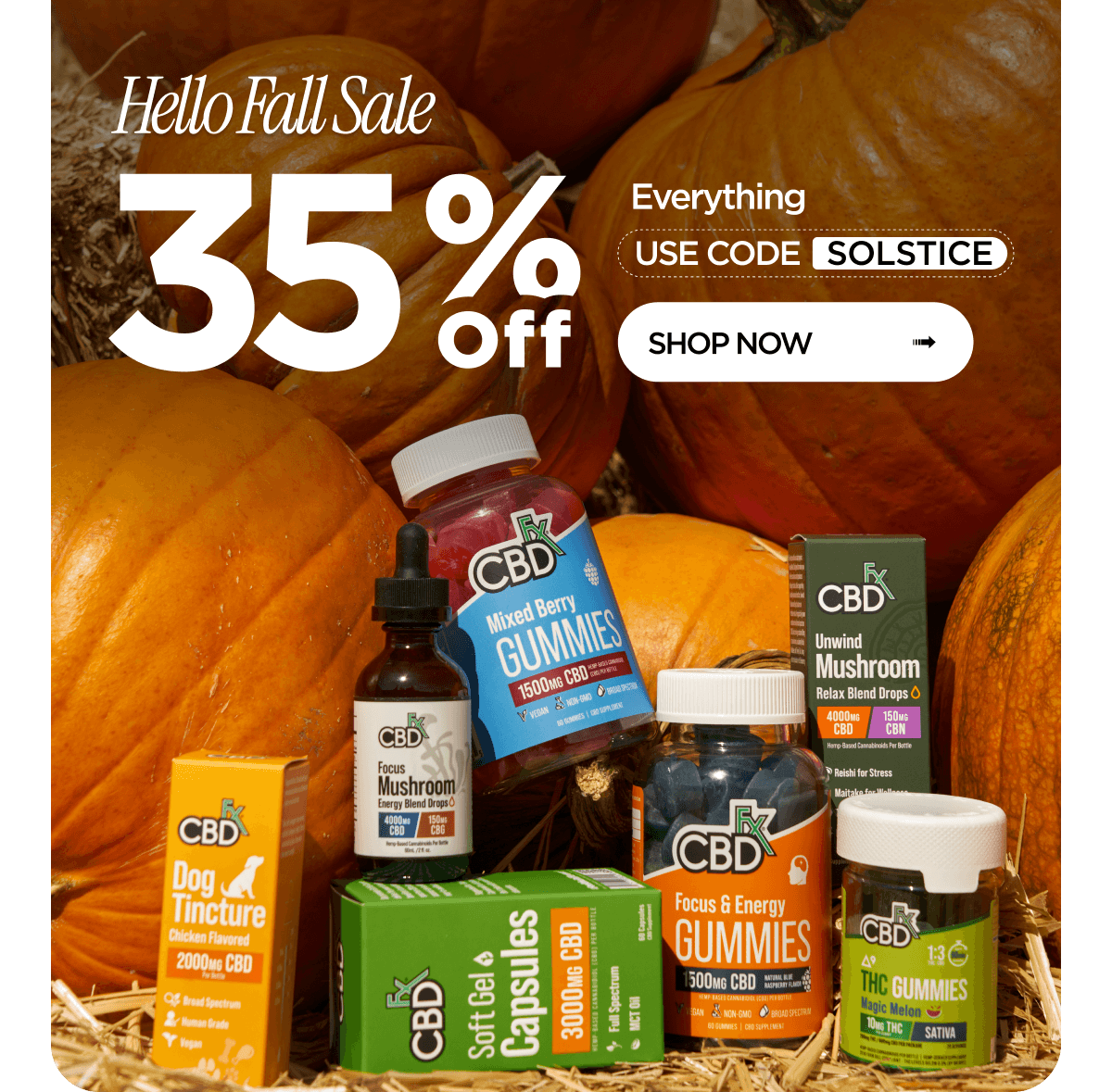 Hello Fall Sale | 35% off everything