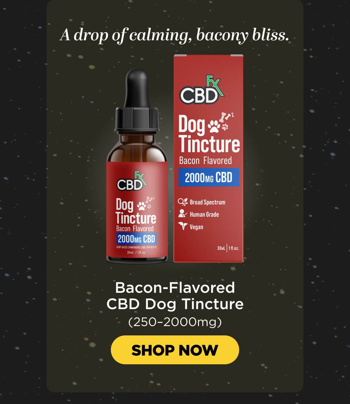 CBD Oil for Dogs (Bacon Flavored)