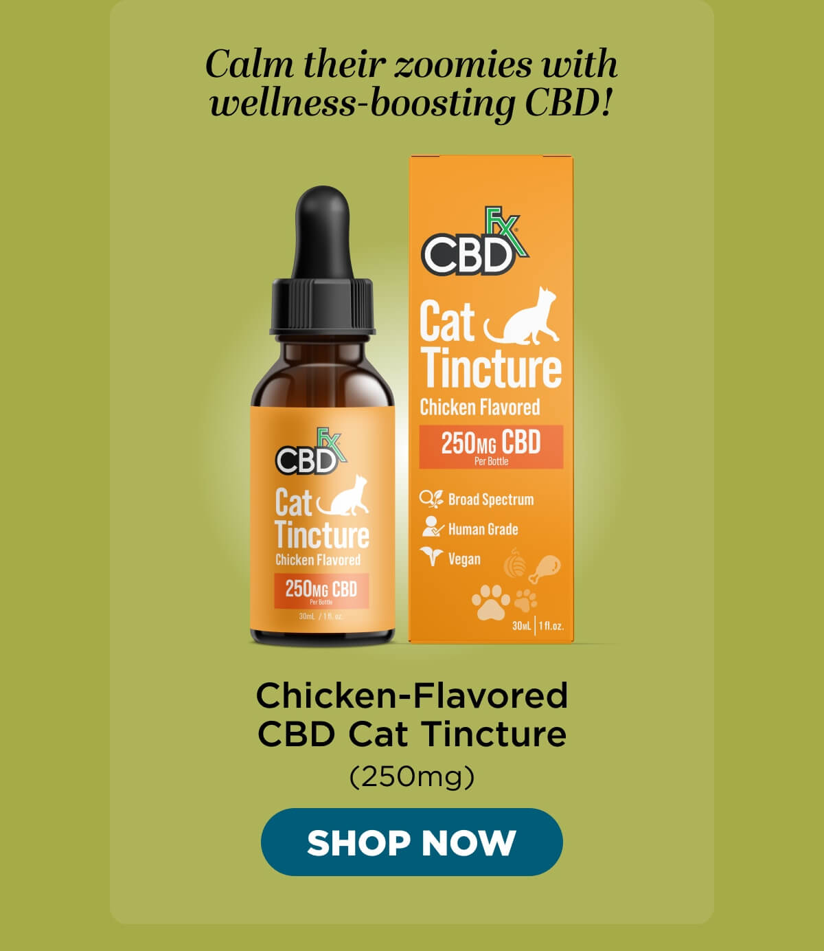 Chicken-Flavored CBD Cat Tincture