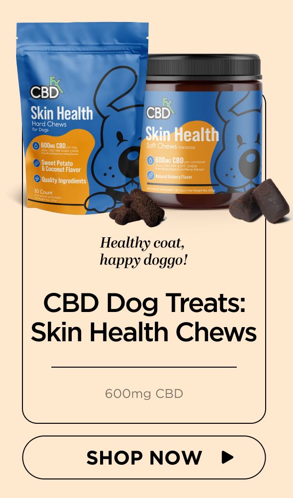 CBD Dog Treats: Skin Health Chews