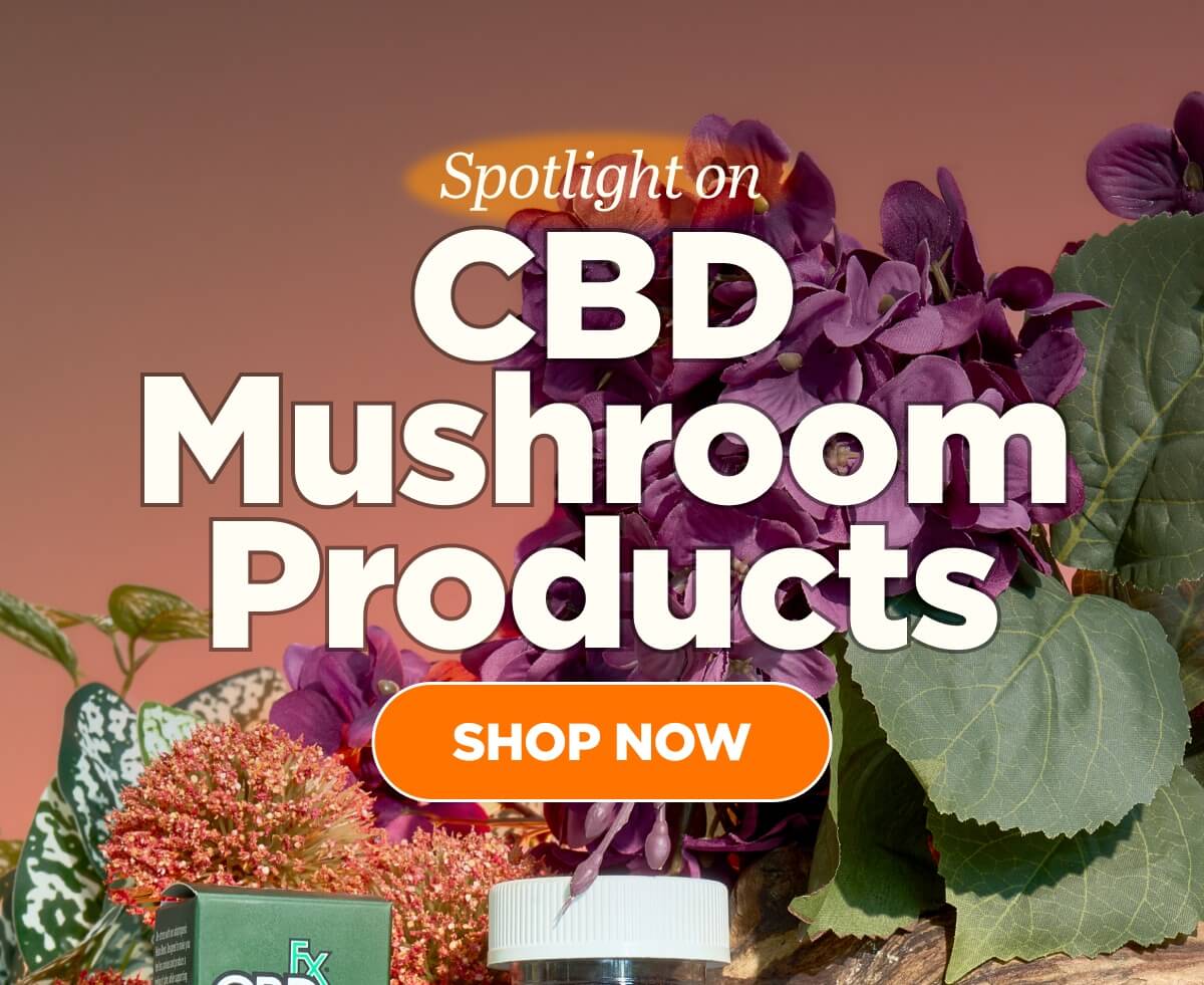 Spotlight on CBD Mushroom Products