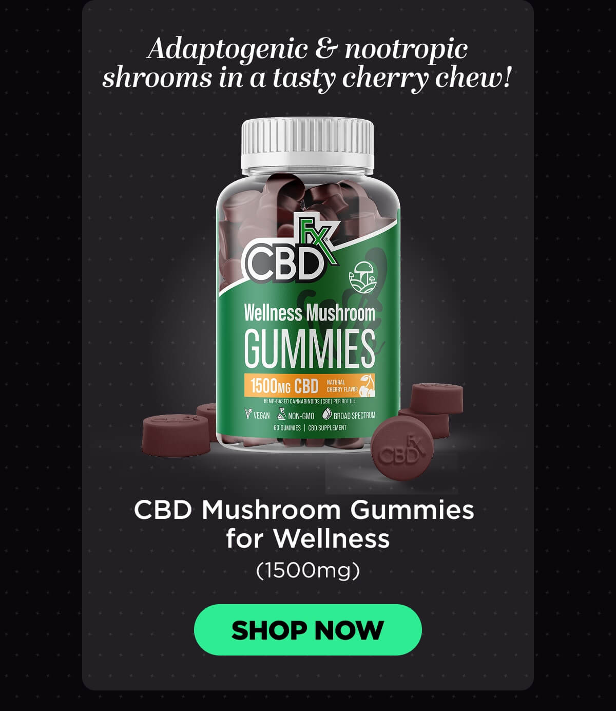Wellness Mushroom Gummies