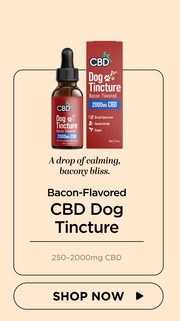 CBD Oil for Dogs (Bacon Flavored)