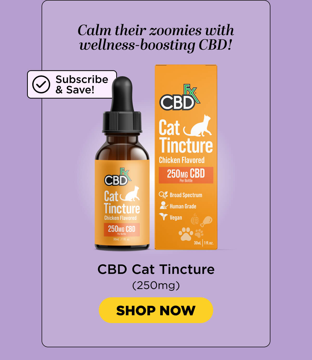Chicken-Flavored CBD Cat Tincture