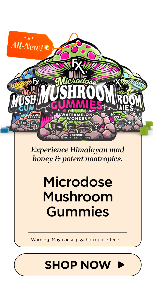 Microdose Mushroom Gummies