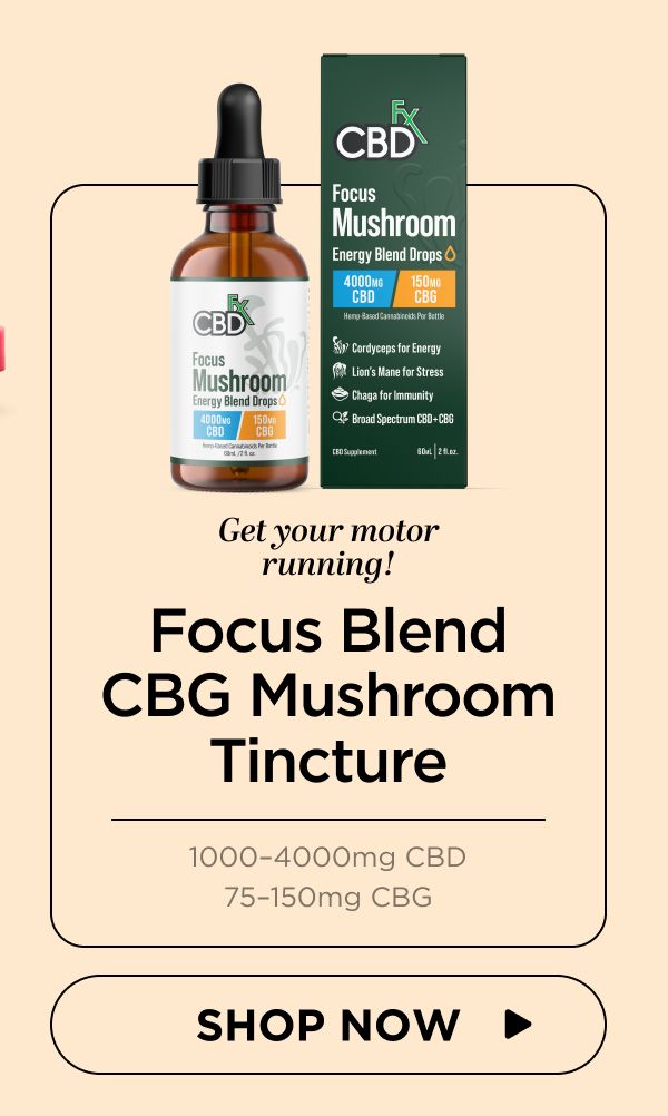 Focus Blend CBG Mushroom Tincture