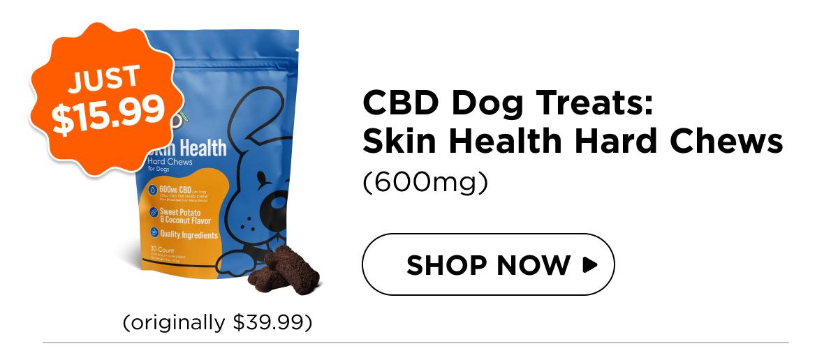 CBD Dog Treats: Skin Health Chews