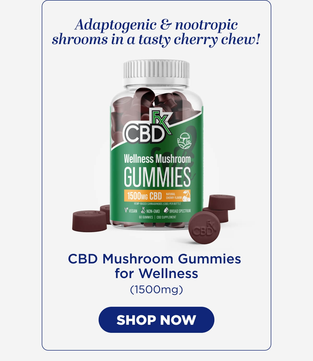 Wellness Mushroom Gummies