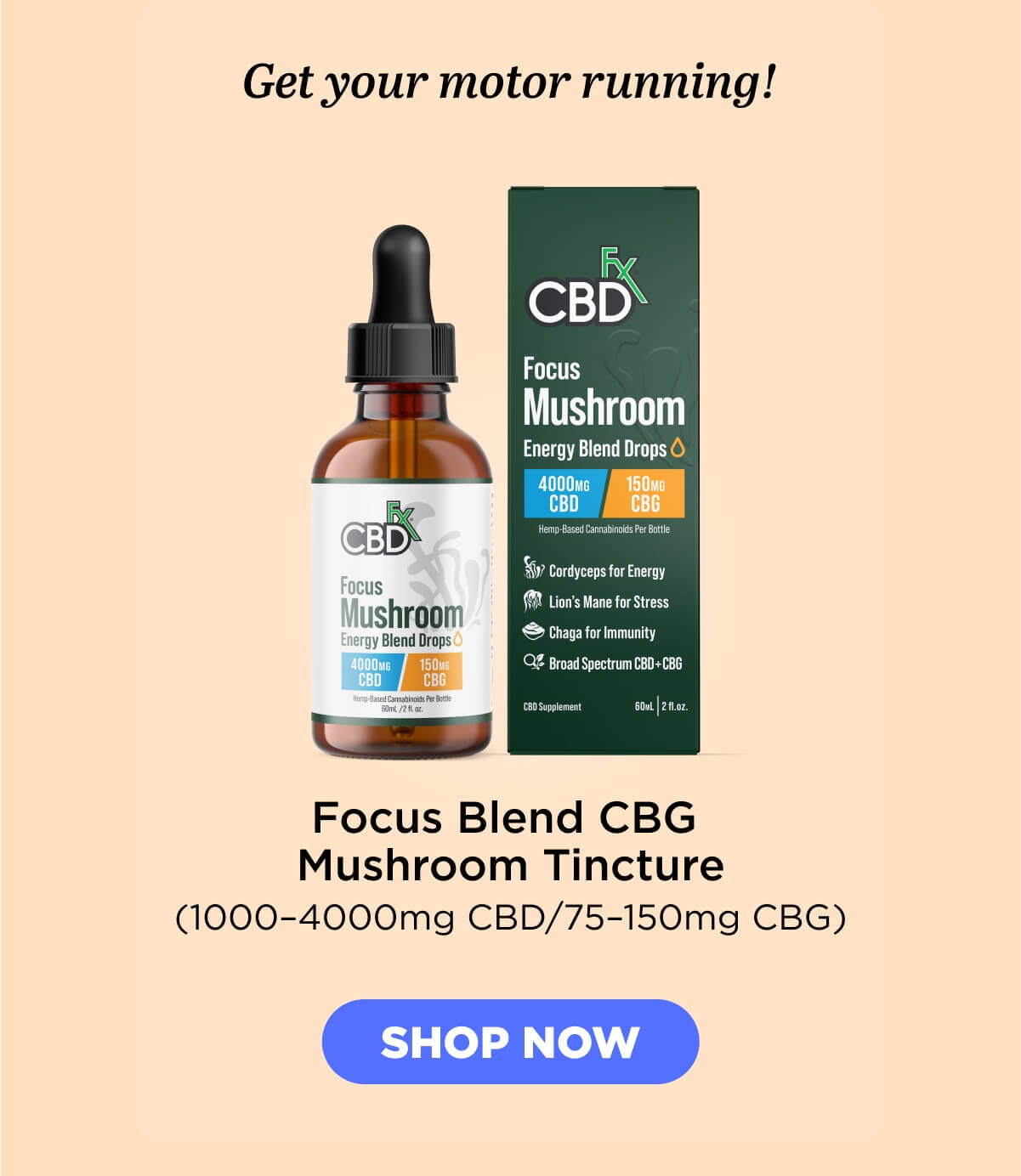 Focus Blend CBG Mushroom Tincture