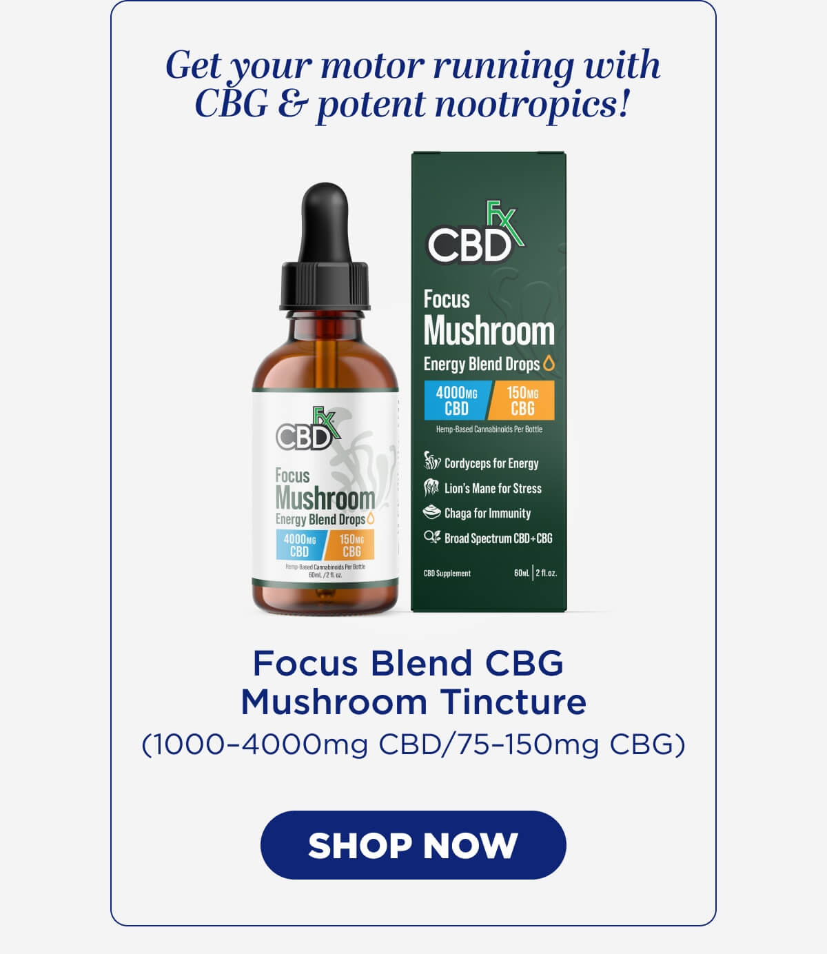 Focus Blend CBG Mushroom Tincture